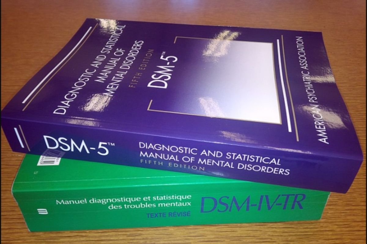 DSM 5 V IV manual online español
